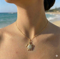 Tortue