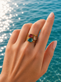 Calypso multicolore
